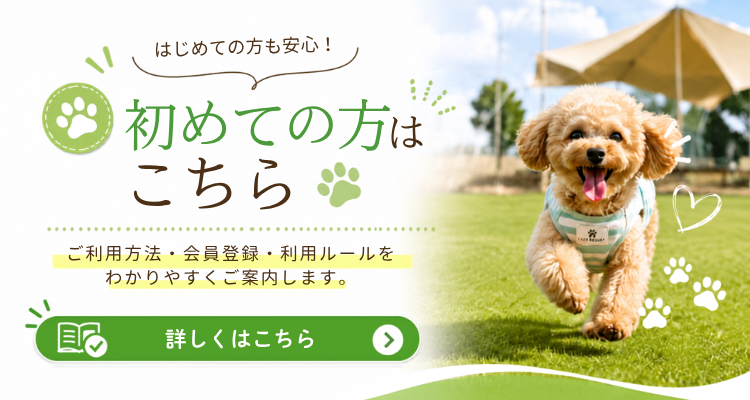 初めての方はこちら