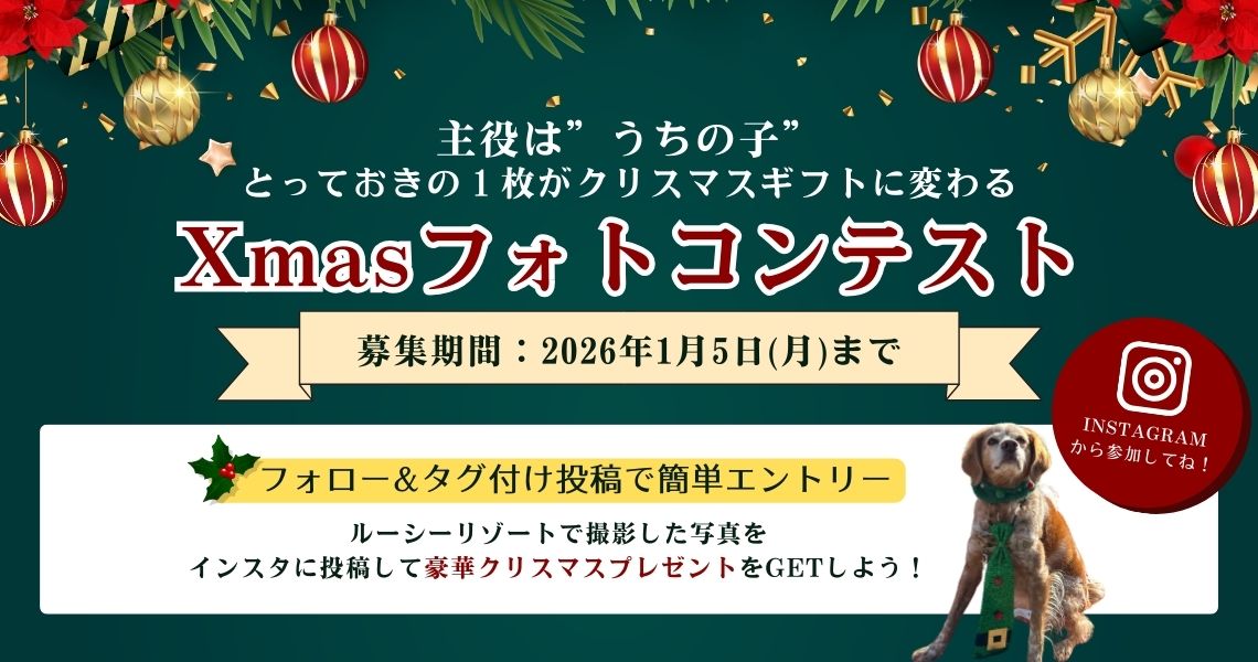 2025年　クリスマスフォトコンテスト