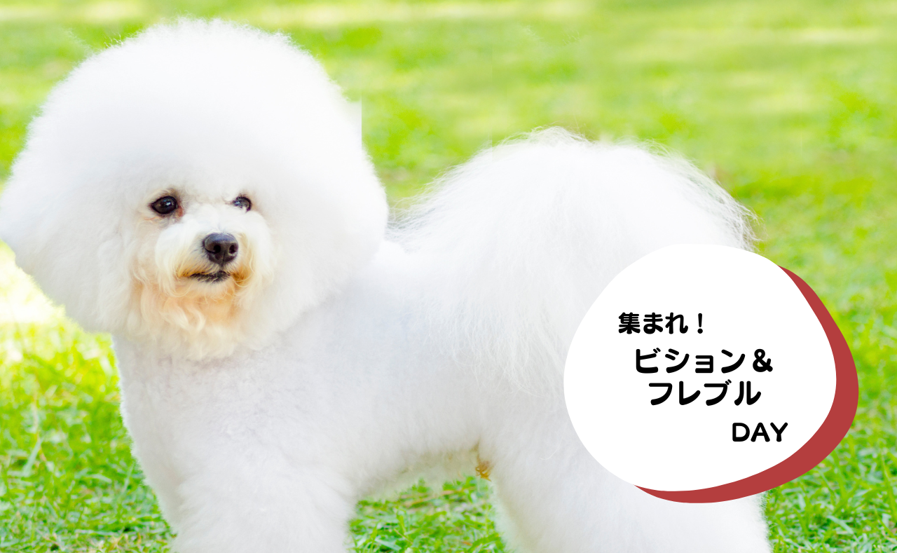 ルーシーリゾートイベント画像