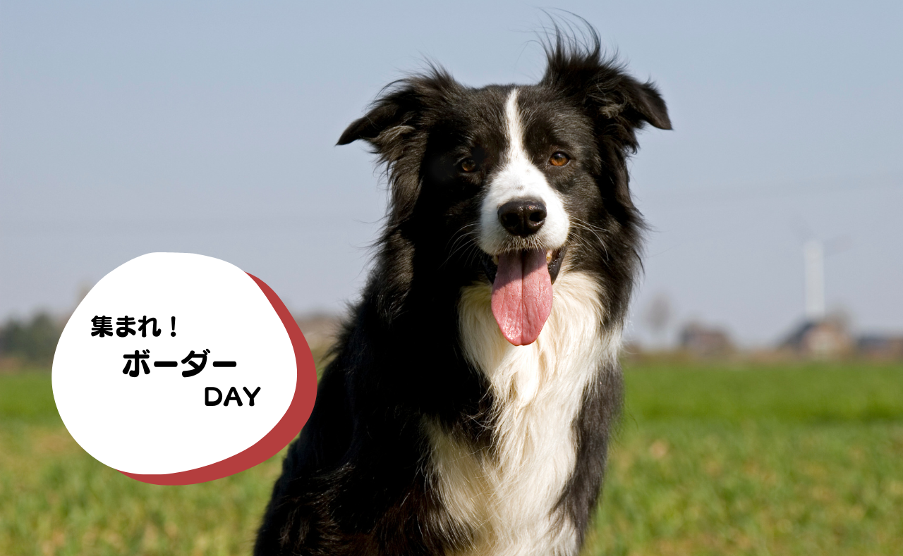 ルーシーリゾートイベント画像