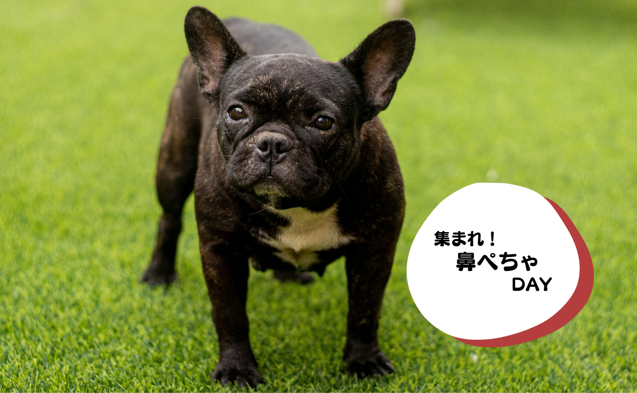 ルーシーリゾートイベント画像