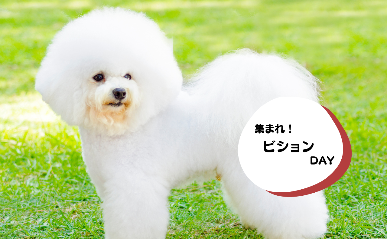 ルーシーリゾートイベント画像