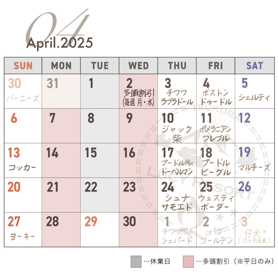 犬種別イベント　2025年4月