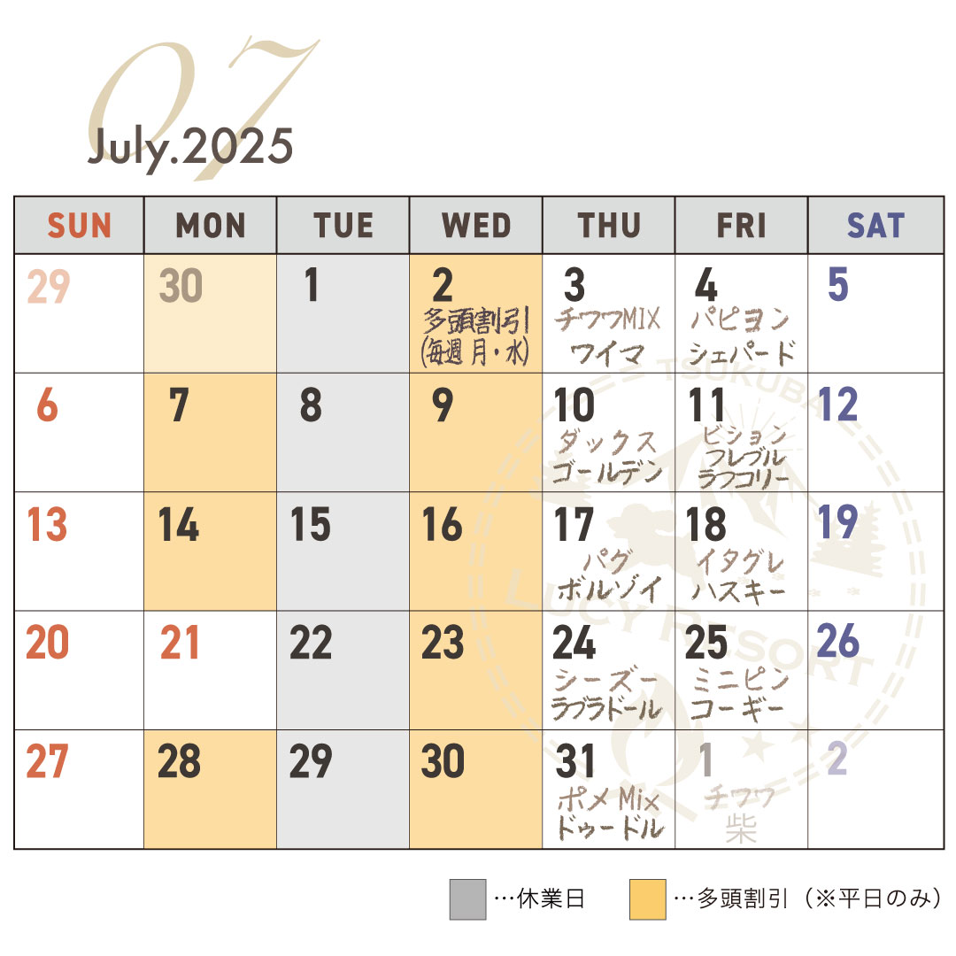 犬種別イベント　2025年7月　ワンコDAY