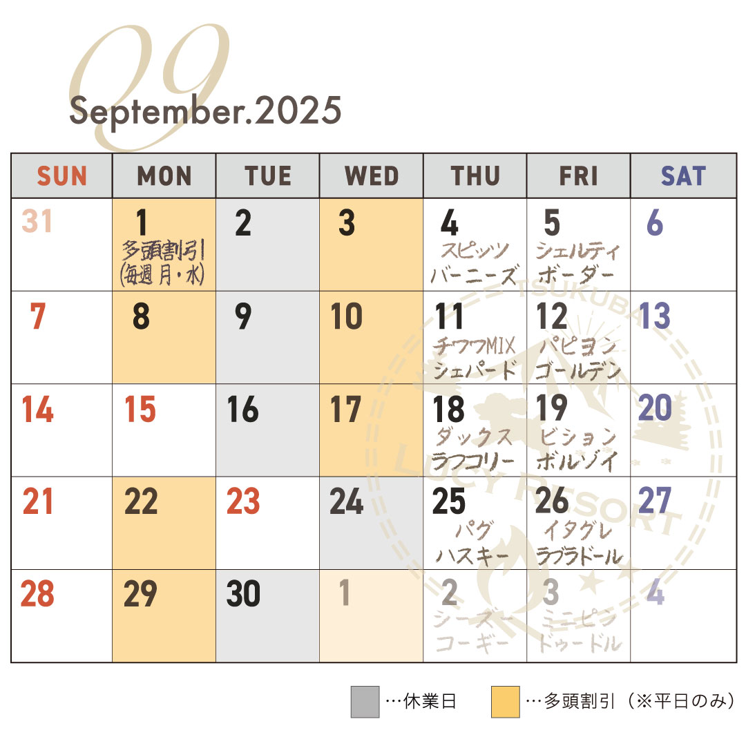 犬種別イベント　2025年9月　ワンコDAY