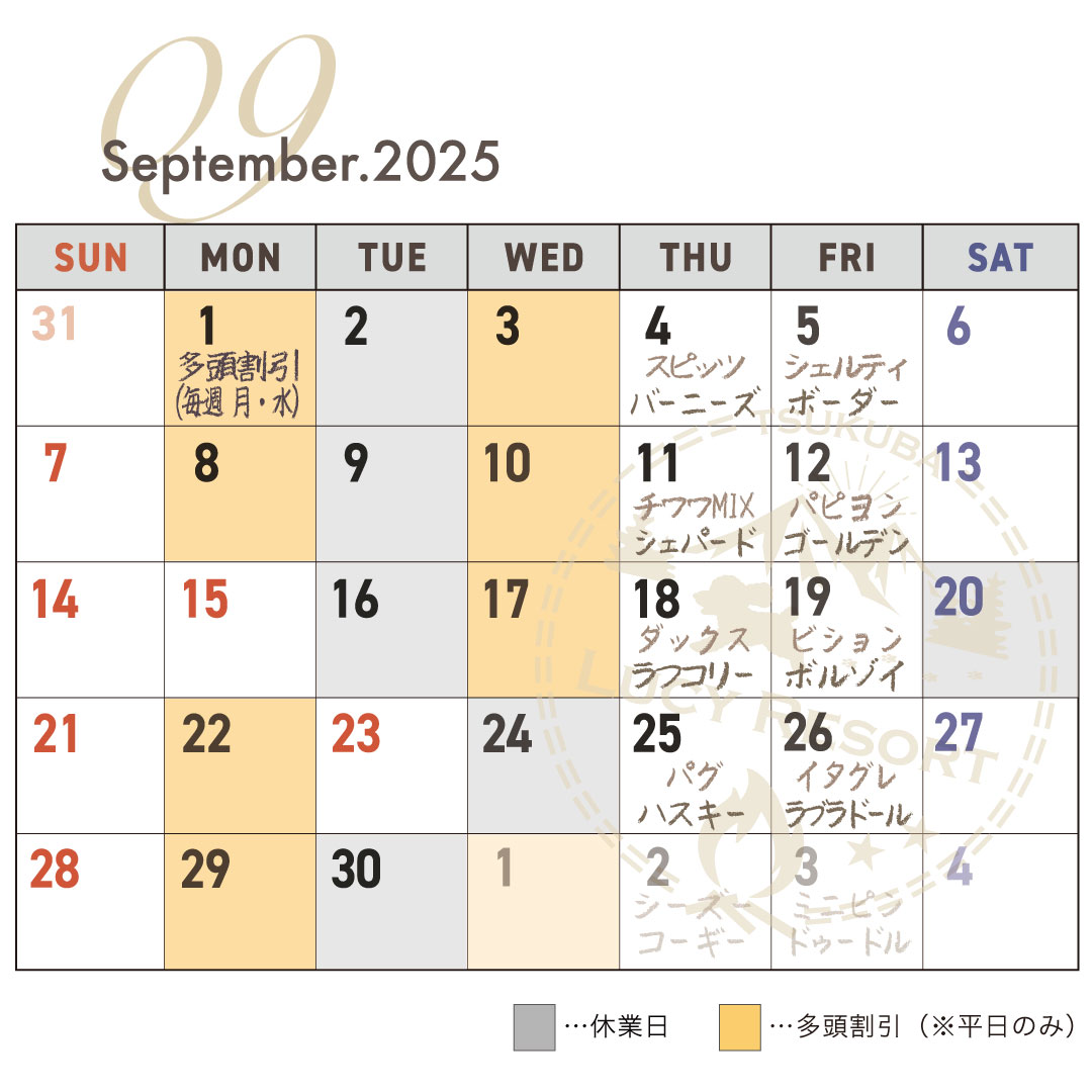 犬種別イベント　2025年9月　ワンコDAY