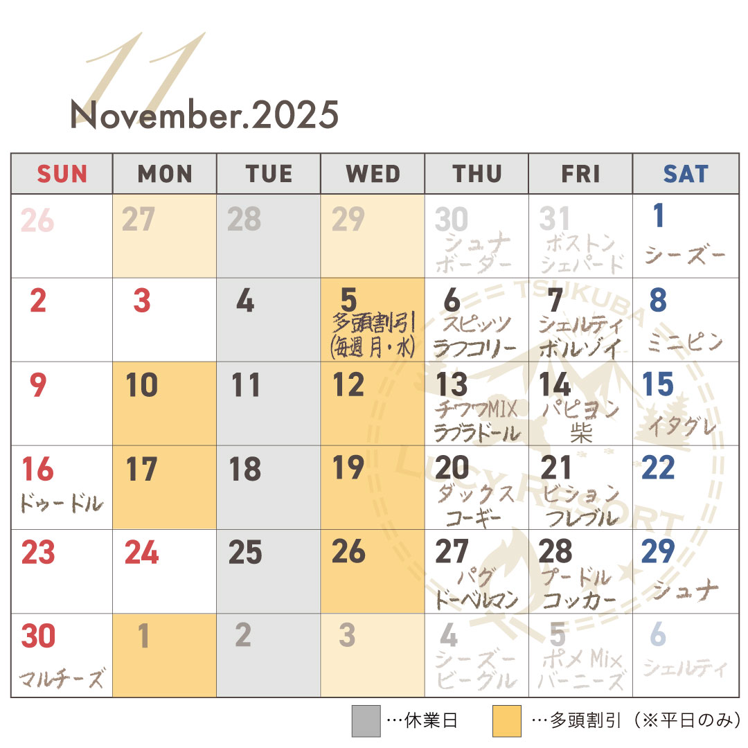 犬種別イベント　2025年11月　ワンコDAY