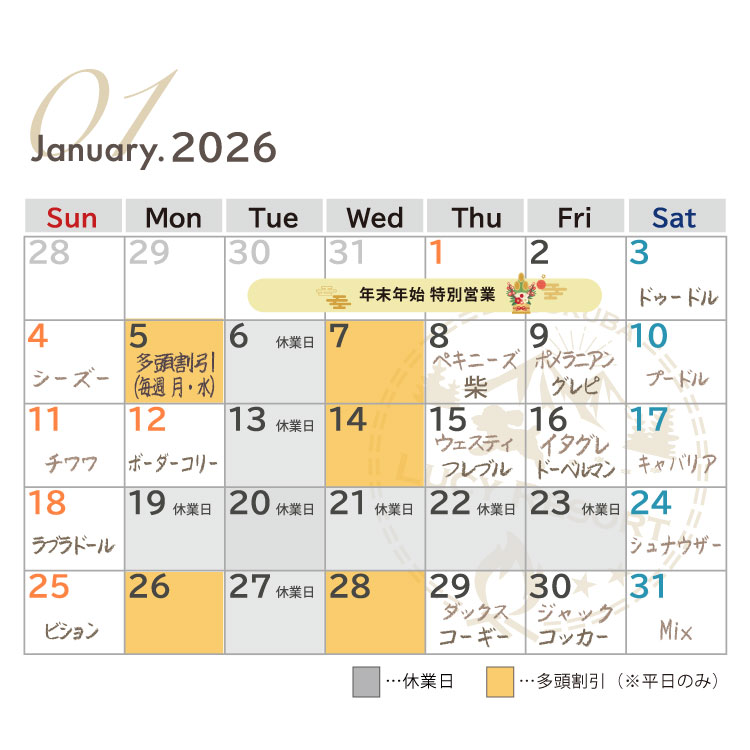犬種別イベント　2026年1月　ワンコDAY
