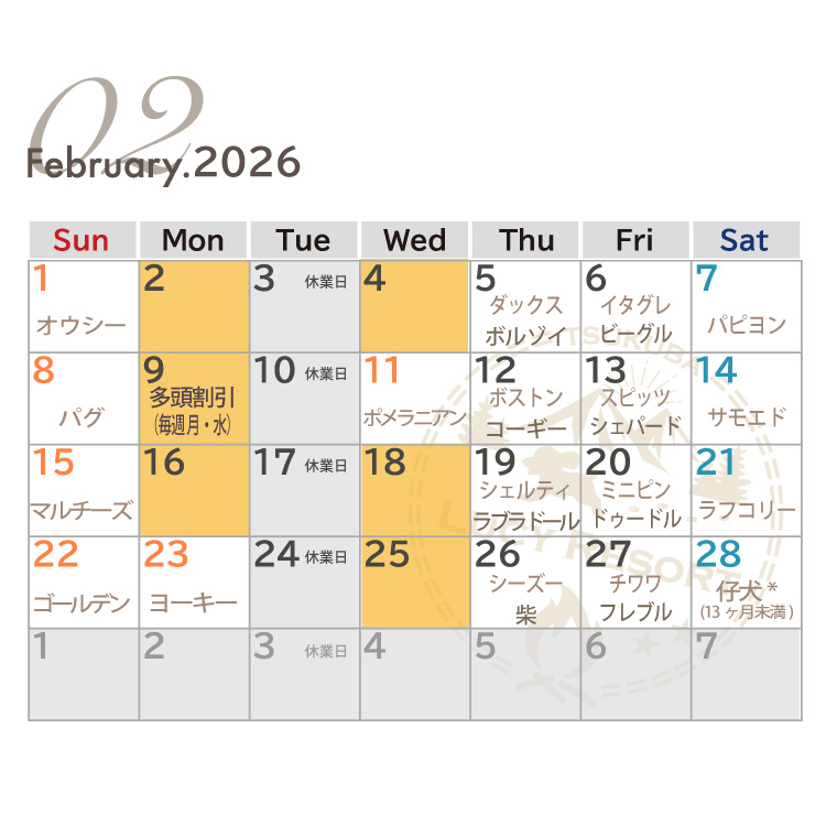 犬種別イベント　2026年2月　ワンコDAY