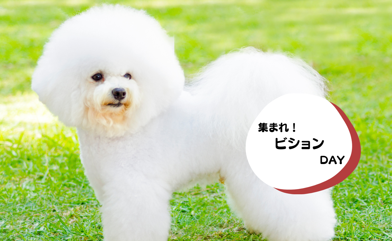 ルーシーリゾートイベント画像