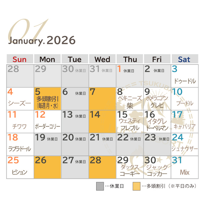 犬種別イベント　2026年1月　ワンコDAY