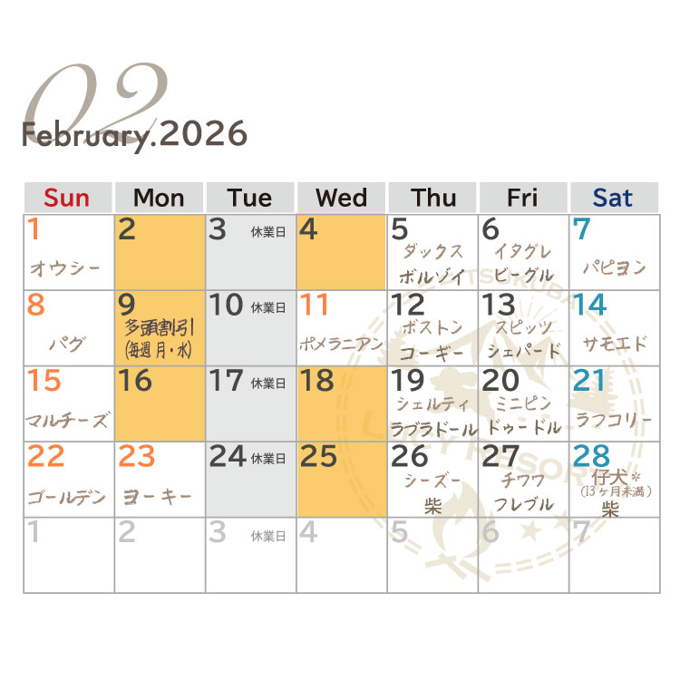 犬種別イベント　2026年2月　ワンコDAY