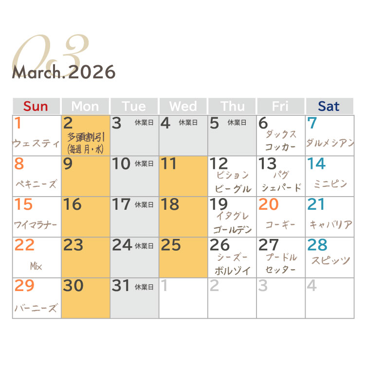 犬種別イベント　2026年3月　ワンコDAY