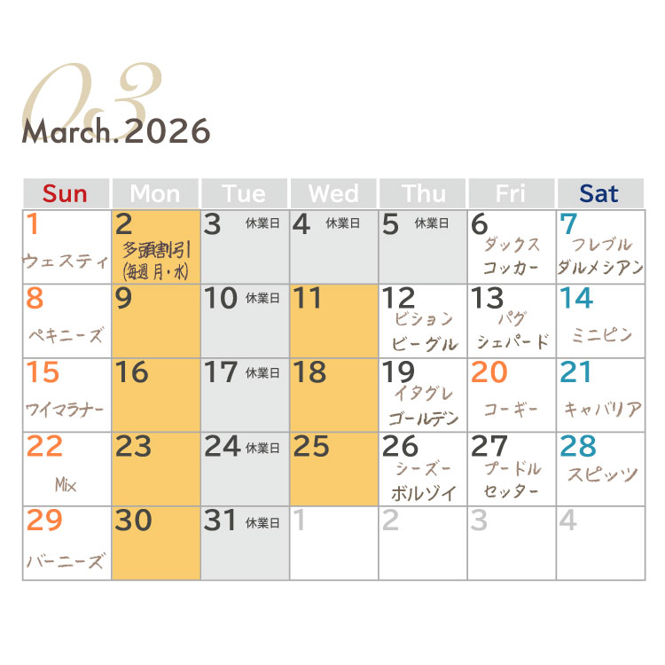 犬種別イベント　2026年3月　ワンコDAY