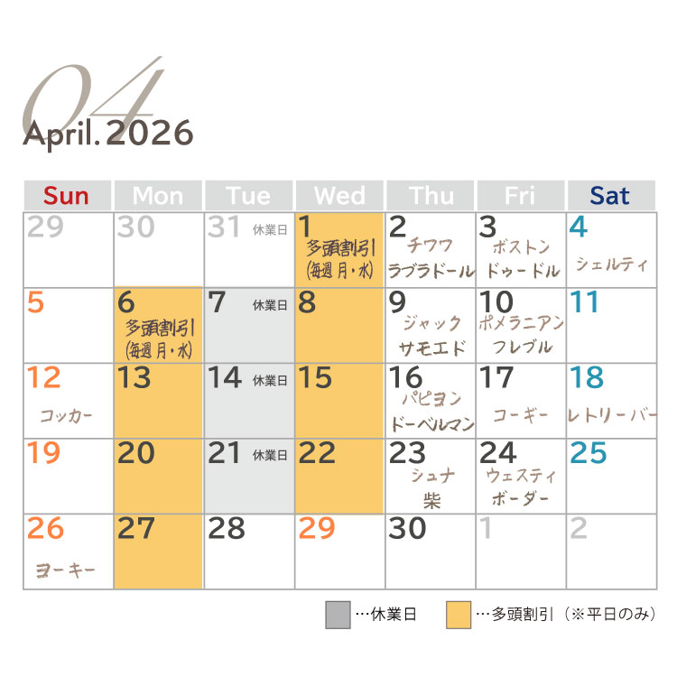 犬種別イベント　2026年4月　ワンコDAY