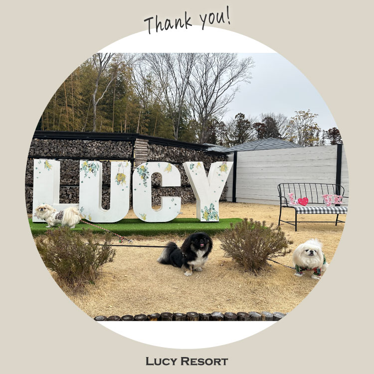 犬種別イベント　オフ会　ペキニーズ