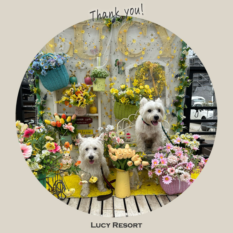 犬種別イベント　オフ会　ウェスティー