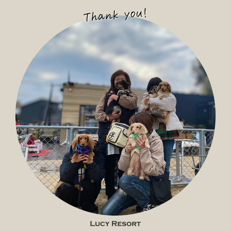 犬種別イベント　オフ会　ダックス