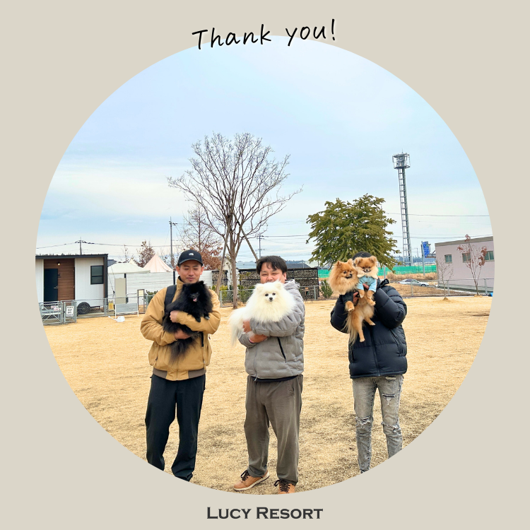 犬種別イベント　オフ会　ポメラニアン