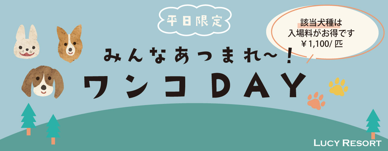 平日限定 犬種別イベント「ワンコDAY」