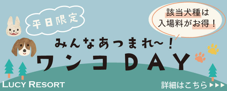 犬種別イベント「ワンコDAY」