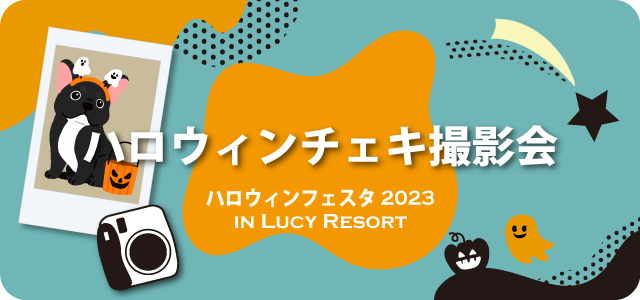 ハロウィンフェスタ2023　ハロウィンチェキ撮影会