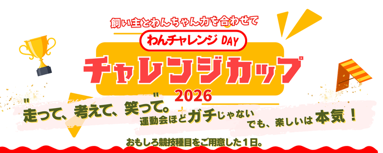 チャレンジカップ