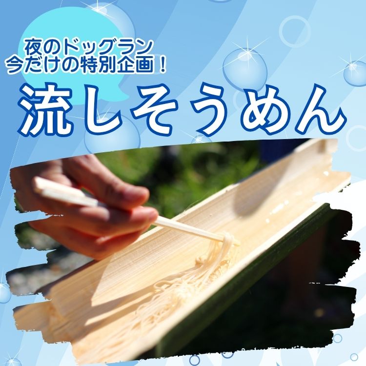 ルーシーリゾートの夜のドッグラン　流しそうめんイベント