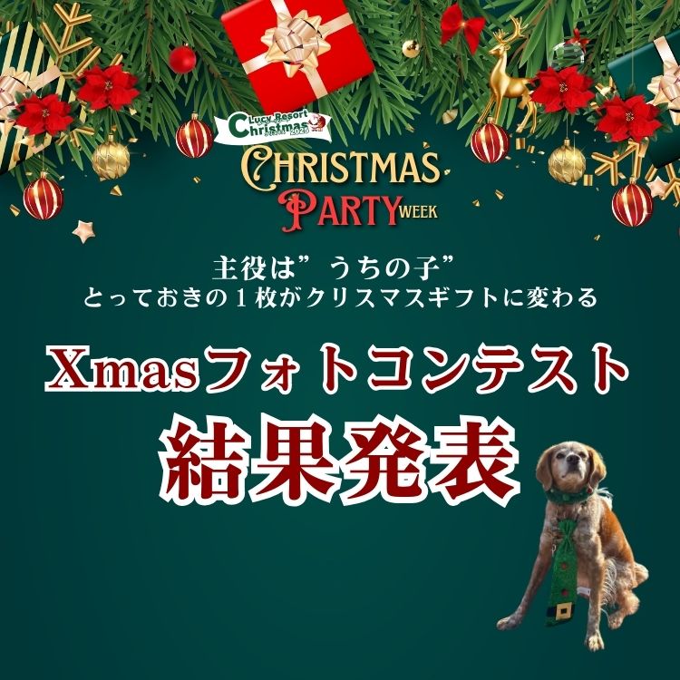ルーシーリゾートクリスマス2025　フォトコンテスト結果発表