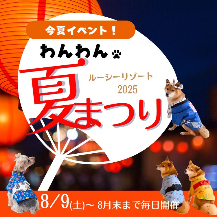 犬イベント　夏祭り　2025
