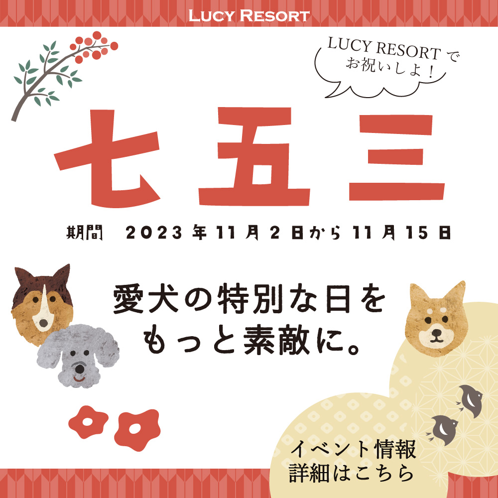 ルーシーリゾートで愛犬の七五三