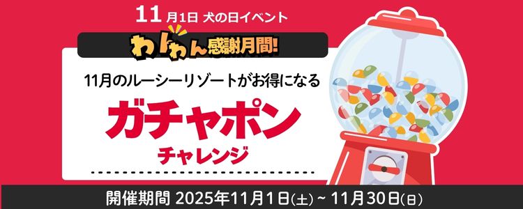 ルーシーリゾートイベント画像