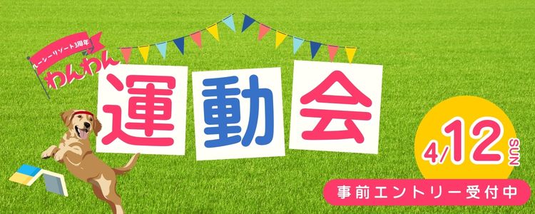 ルーシーリゾート　春のわんわん運動会