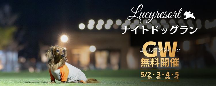 2026年GW　ナイトドッグラン無料開催
