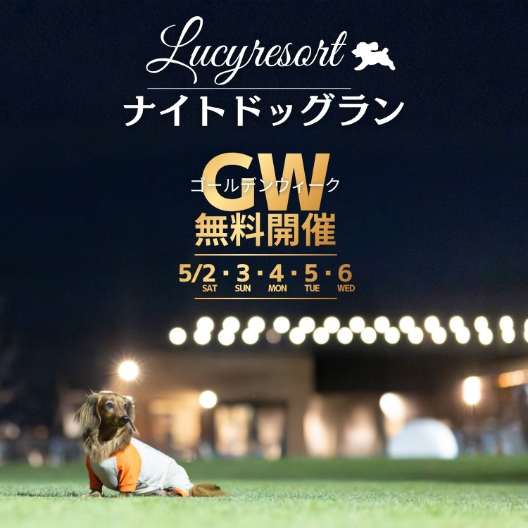 2026年GW　ナイトドッグラン無料開催