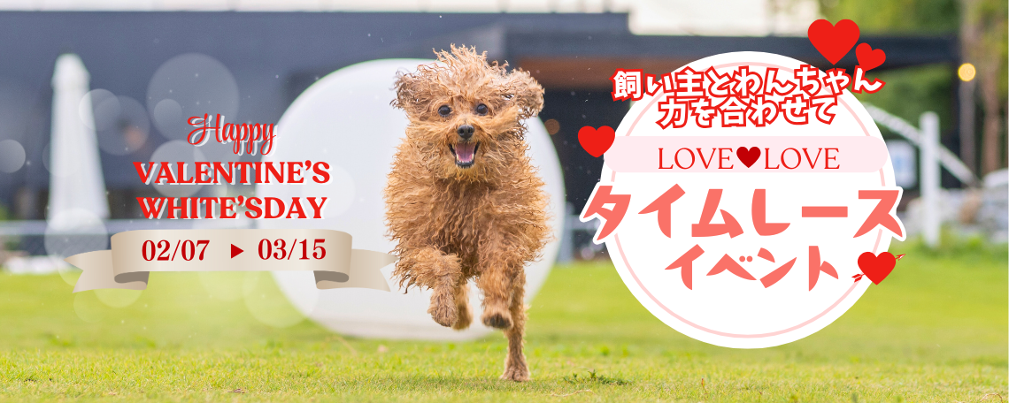 ルーシーリゾートイベント画像