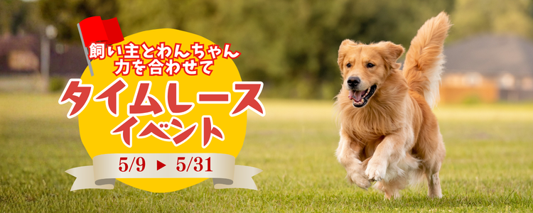 ドッグタイムレースイベント