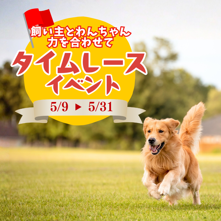ドッグタイムレースイベント