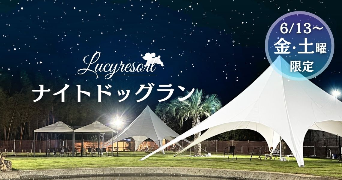 ルーシーリゾートイベント画像