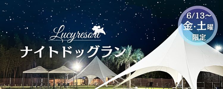 ルーシーリゾート　ナイトドッグラン　プレオープン