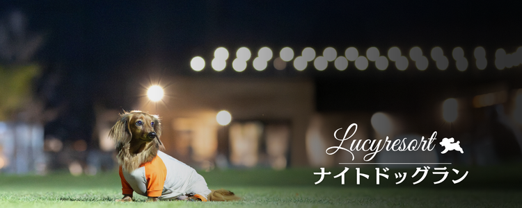 ナイトドッグラン　2026年5月土曜・日曜限定で無料開催