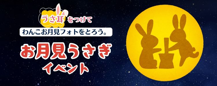 ワンコとお月見うさぎイベント　2025年9月