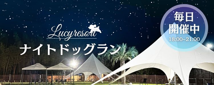 ルーシーリゾート　ナイトドッグラン