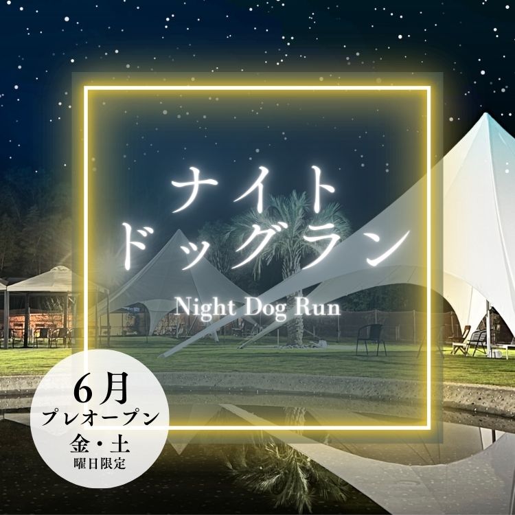 茨城県つくば市のナイトドッグラン　2024年6月開始