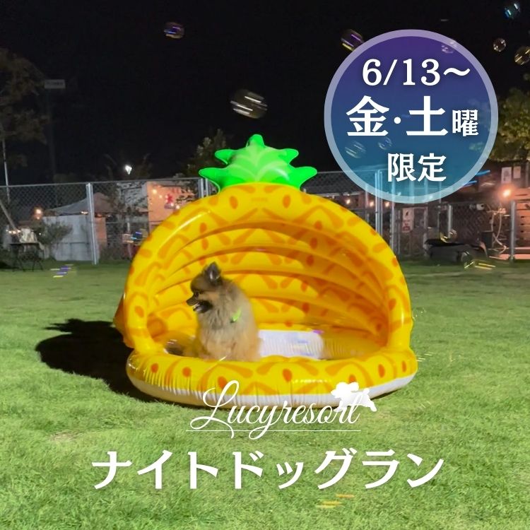 ルーシーリゾート　ナイトドッグラン　プレオープン