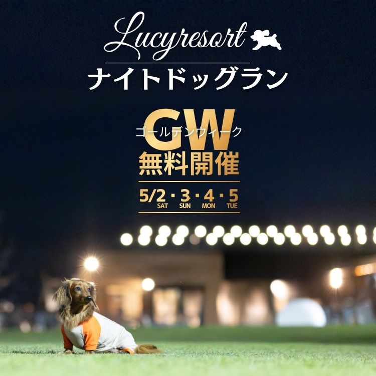 2026年GW　ナイトドッグラン無料開催
