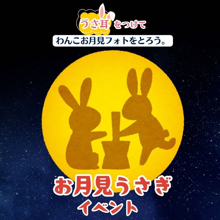 ワンコとお月見うさぎイベント　2025年9月