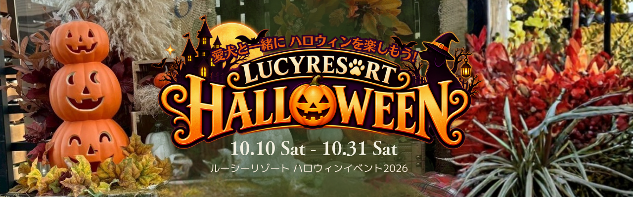 ルーシーリゾートイベント画像