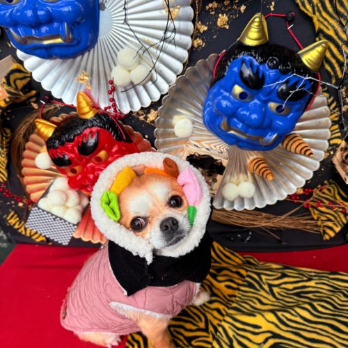 季節のフォトスポット　2026年1月