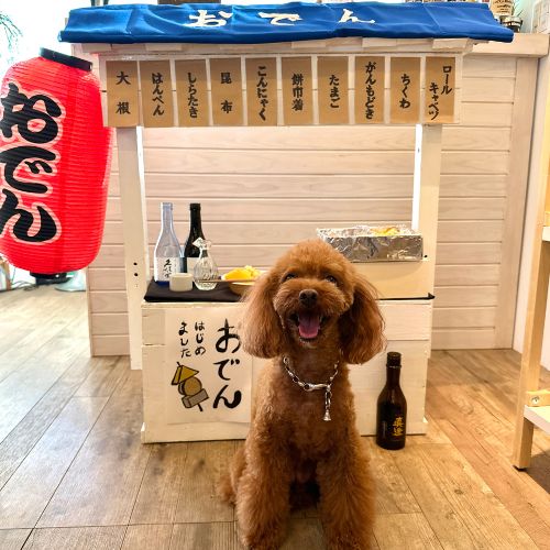 ショップ内フォトスポット　2026年1月